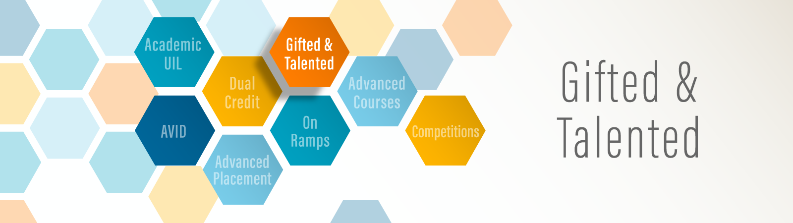 banner for gifted and talented program