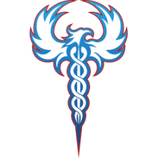 Health Careers High School phoenix logo
