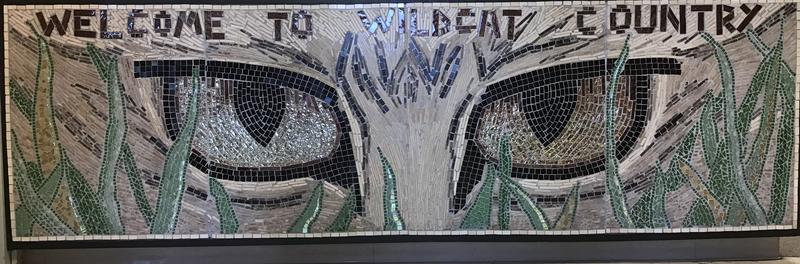 Wildcat mosaic art