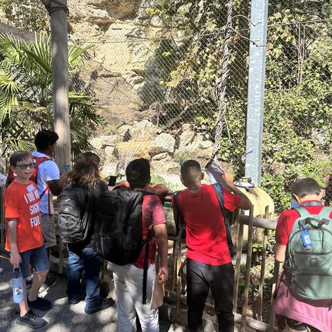 Zoo Field Trip 4