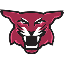 Stevenson Wildcat logo